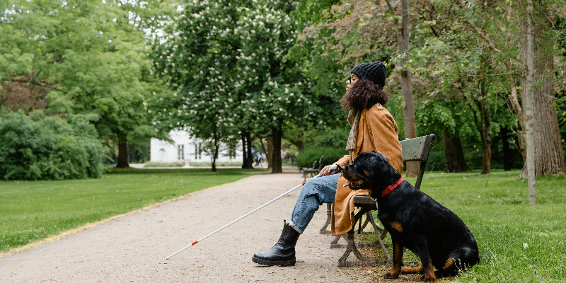 Kontaktní alergie ze srsti psů