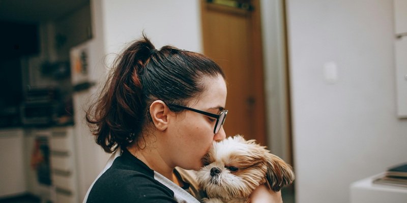 Vyrážka na obličeji a domácí mazlíčci 1